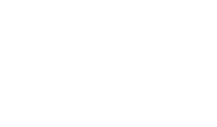 www.visforvaccine.com